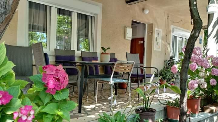Apartman Paulina Apartamento Selce Exterior foto